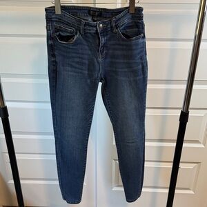 Judy Blue Indigo Skinny Jeans